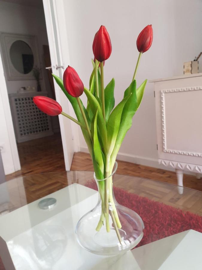 Apartament Contrastes Ribeira Sacra Monforte De Lemos Zewnętrze zdjęcie
